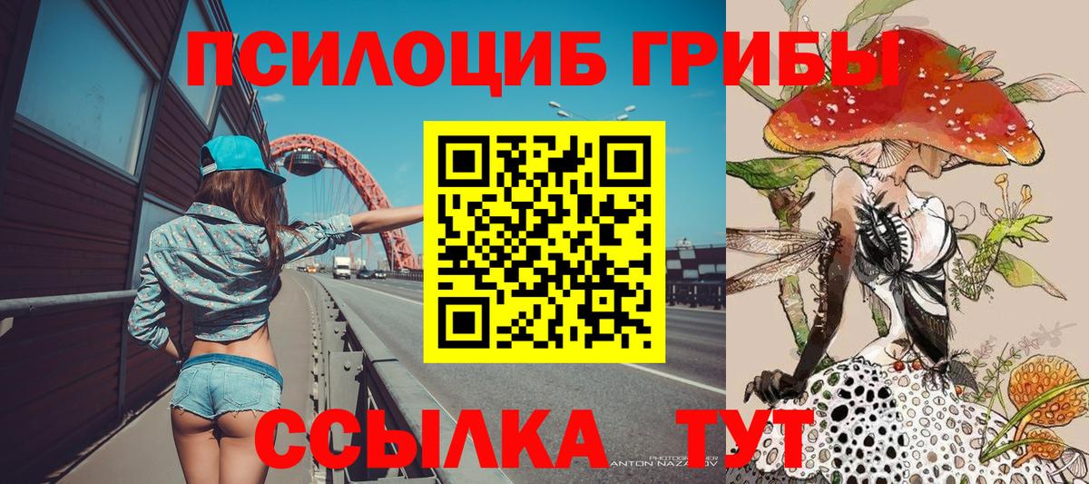 Псилоцибиновые грибы прущие грибы Маркс