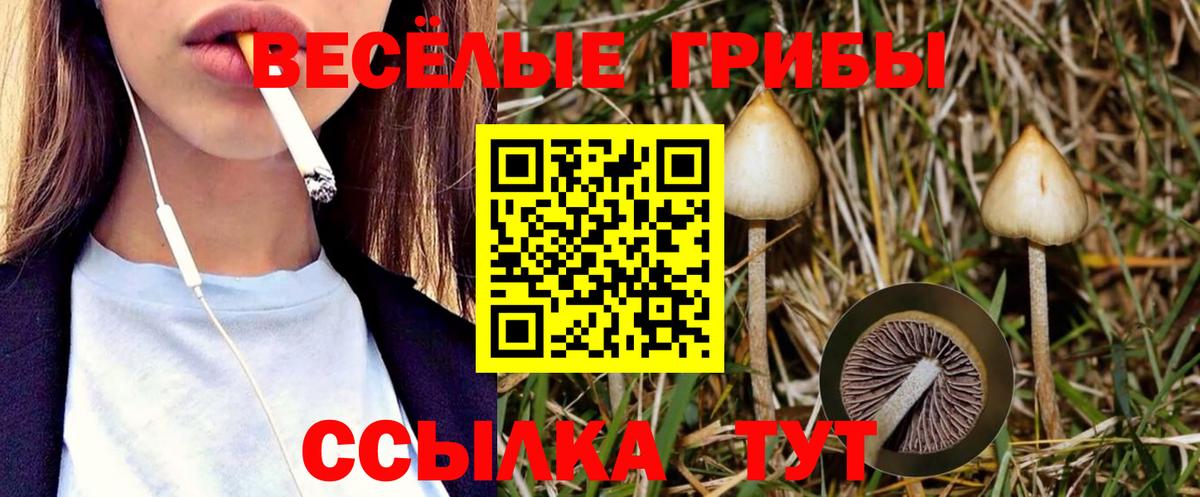 Маркс  Галлюциногенные грибы мухоморы  Вход с VPN 